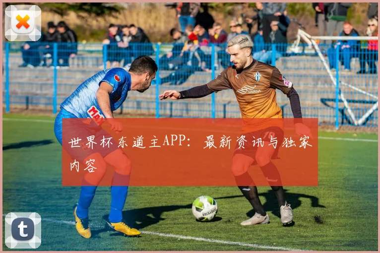 世界杯东道主APP：最新资讯与独家内容