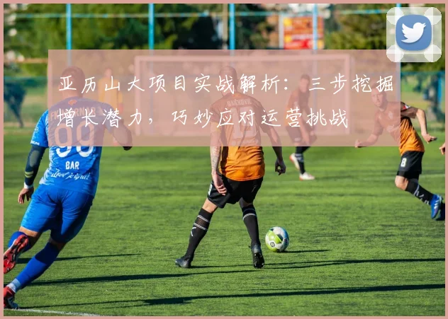 亚历山大项目实战解析：三步挖掘增长潜力，巧妙应对运营挑战